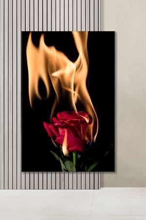 Ateş ve Gül Art Kanvas Tablo 2221940