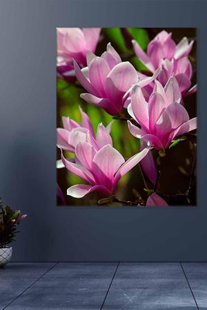 Pembe Laleler Art Kanvas Tablo 2221946