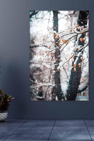 Dalına Kar Yağmış Yapraklar Art Kanvas Tablo 2221898