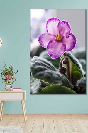 Mor Tek Çiçek Art Kanvas Tablo 2221963