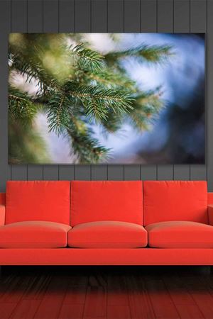 Çam Ağacı Dalları Art Kanvas Tablo 2221900