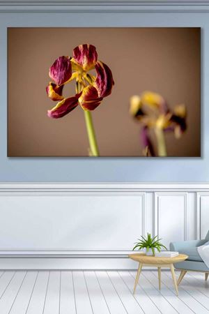 Mor Gül Kurusu Art Kanvas Tablo 2221928