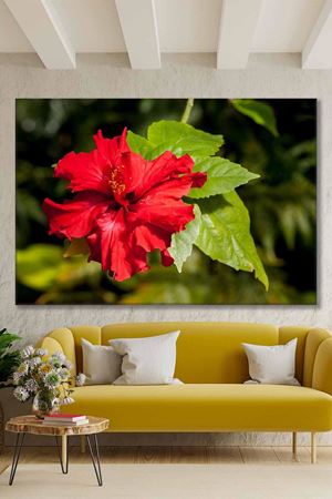 Kırmızı Renkte Tek Zambak Art Kanvas Tablo 2221897