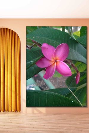 Mor Tek Çiçek Art Kanvas Tablo 2221993