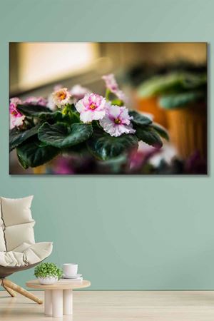 Saksıda Menekşeler Art Kanvas Tablo 2221911