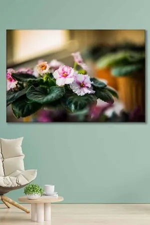 Saksıda Menekşeler Art Kanvas Tablo 2221911