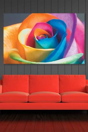 Gökkuşağı Gül Art Kanvas Tablo 2221956