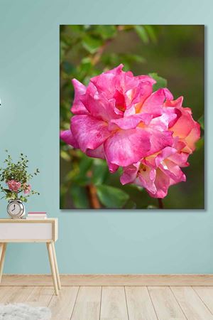 Pembe Renkli Tek Çiçek Art Kanvas Tablo 2221915