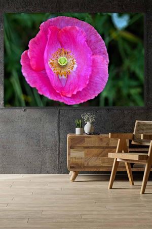 Pembe Lale Art Kanvas Tablo 2221939