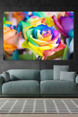 Gökkuşağı Renginde Tek Gül Art Kanvas Tablo 2221858