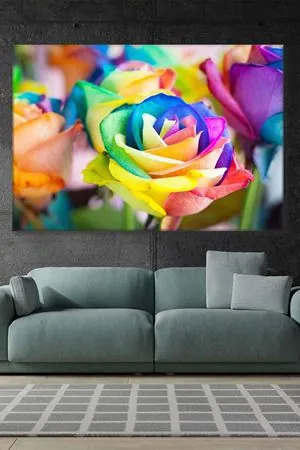 Gökkuşağı Renginde Tek Gül Art Kanvas Tablo 2221858