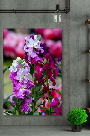 Mor Sümbüller Art Kanvas Tablo 2221936