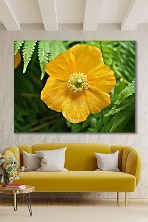 Sarı Lale Tomurcuğu Art Kanvas Tablo 2221947