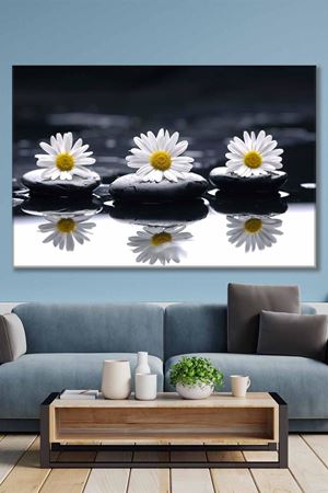 Taşın Üstünde Beyaz Papatyalar Art Kanvas Tablo 2221901