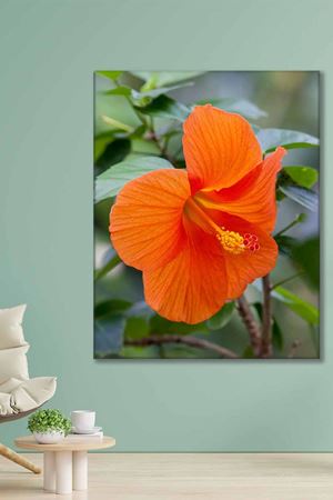 Turuncu Çiçek Art Kanvas Tablo 2221875