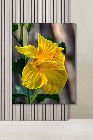 Sarı Zambak Çiçeği Art Kanvas Tablo 2221894