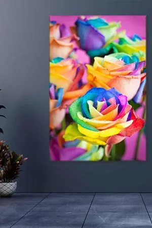 Yeni Açan Gökkuşağı Renkli Güller Art Kanvas Tablo 2221852