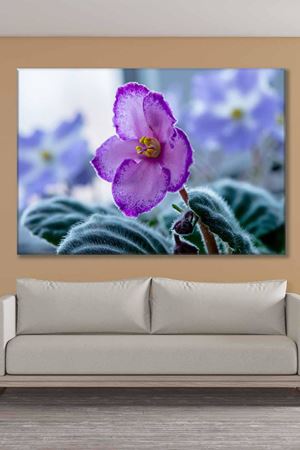 Sarı Tomurcuklu Mor Çiçek Art Kanvas Tablo 2221966