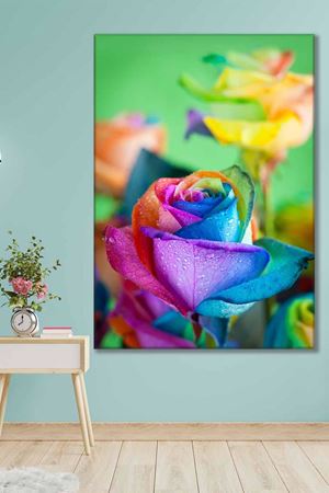 Yeni Açan Gökkuşağı Renkli Gül Art Kanvas Tablo 2221862