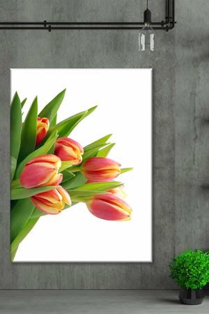 Sarı Pembe Laleler Art Kanvas Tablo 2222013