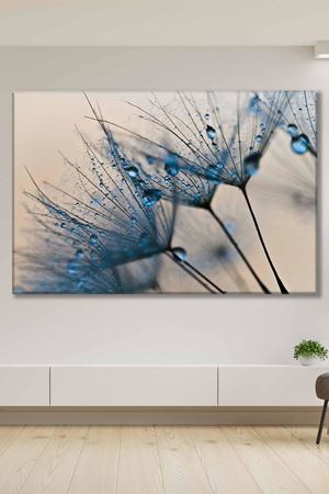 Tüy üzerindeki Su Damlacıkları Art Kanvas Tablo 2221931