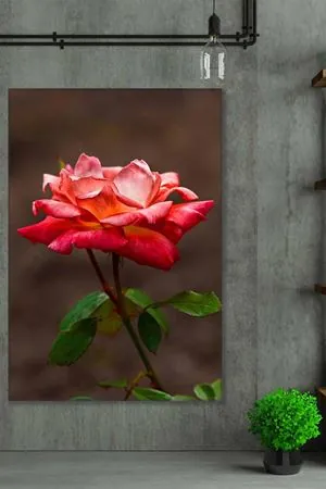 Tek Kırmızı Gül Art Kanvas Tablo 2221882