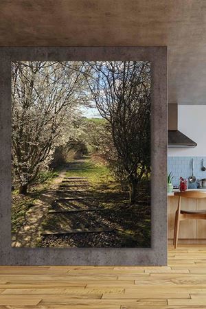 Yeşil Orman ve Patika Yol Art Kanvas Tablo 2221937