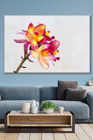 Turuncu Pembe Çiçekler Art Kanvas Tablo 2221905
