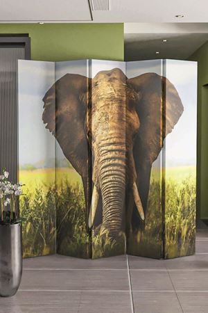 Doğal Ahşap Fil 5 Kanat Paravan Seperatör Oda Bölme