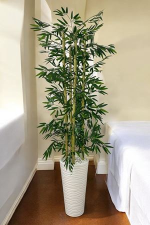 Yapay Çiçek Beyaz Saksı Kalın Bambu Ağaç 180 Cm Yükseklik