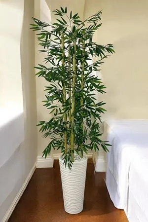 Yapay Çiçek Beyaz Saksı Kalın Bambu Ağaç 180 Cm Yükseklik