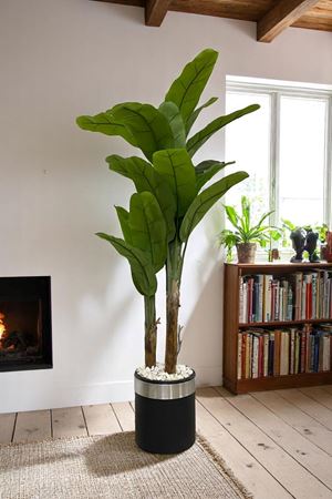 Yapay Muz Ağaç Gerçek Doku 180 Cm Metal Saksı Gri