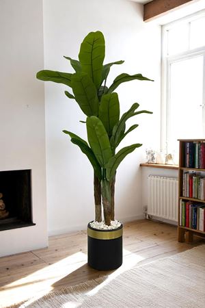 Yapay Muz Ağaç Ağacı Gerçek Doku 180 Cm Metal Saksı Gold