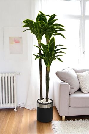 Yapay Yuka Ağaç Gerçek Doku 180 Cm Metal Saksı Gold