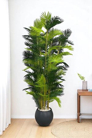 Yapay Ağaç Palmiye Kalın Bambu 200 Cm Yükseklik Gri Saksı