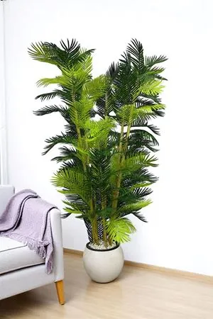 Yapay Çiçek Beyaz Saksı Kalın Bambu Palmiye Ağaç 180 Cm Yükseklik