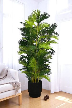 Yapay Ağaç Palmiye Kalın Bambu 200 Cm Yükseklik Siyah Saksı