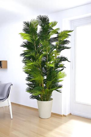 Yapay Ağaç Palmiye Kalın Bambu 200 Cm Yükseklik Beyaz Saksı