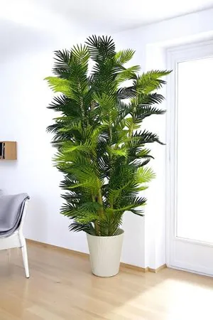 Yapay Ağaç Palmiye Kalın Bambu 200 Cm Yükseklik Beyaz Saksı