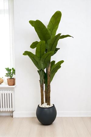 Yapay Ağaç Muz Gerçek Doku 180 Cm Yükseklik Küre Gri Saksı