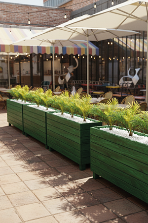 Ahşap Saksılı Dış Mekân Palmiye Seperatör Yeşil | Dekoratif Alan Ayırıcı