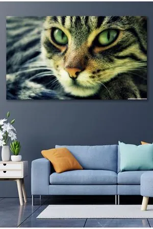 Yeşil Gözlü Kedi  Kanvas Duvar Tablo 4452442