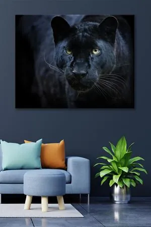 Avına Bakan Siyah Puma  Kanvas Duvar Tablo 4452440