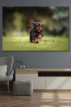 Kırsaltda Koşan Yavru Köpek  Kanvas Duvar Tablo 4452276