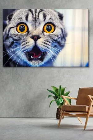 Şaşkın Bakan Kedi Kanvas Duvar Tablo 4452253
