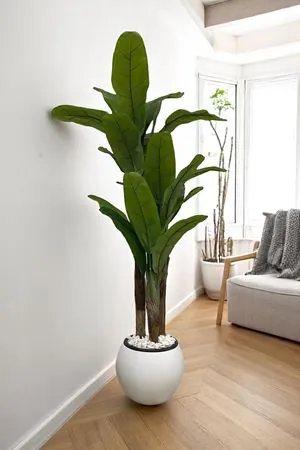 Yapay Ağaç Muz Gerçek Doku 180 Cm Yükseklik Küre Beyaz Saksı