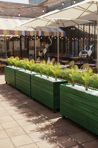 Ahşap Saksılı Dış Mekân Palmiye Seperatör Yeşil | Dekoratif Alan Ayırıcı