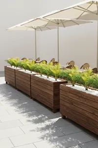 Ahşap Saksılı Dış Mekân Palmiye Seperatör Ceviz | Dekoratif Alan Ayırıcı